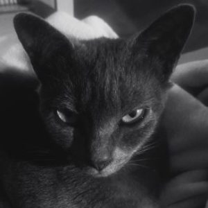 Profile photo of EA7LGA