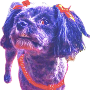 Profile photo of J23